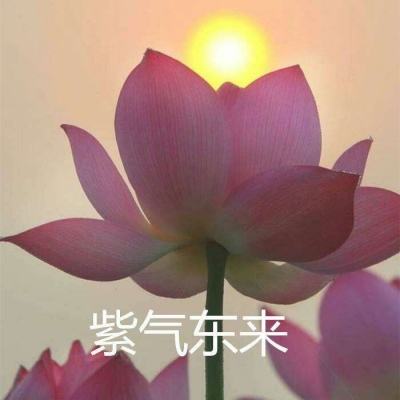 好运水浒传官方版(暂未上线)v1.0 安卓最新版